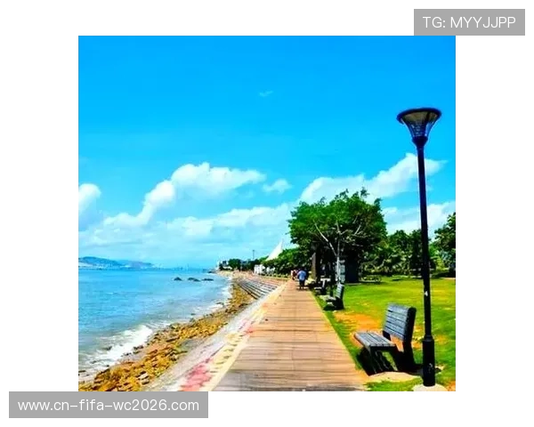 厦门环岛路骑行全景攻略与沿途景点体验推荐